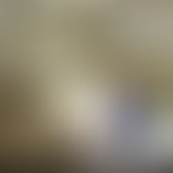 Experience luxury living with our services.