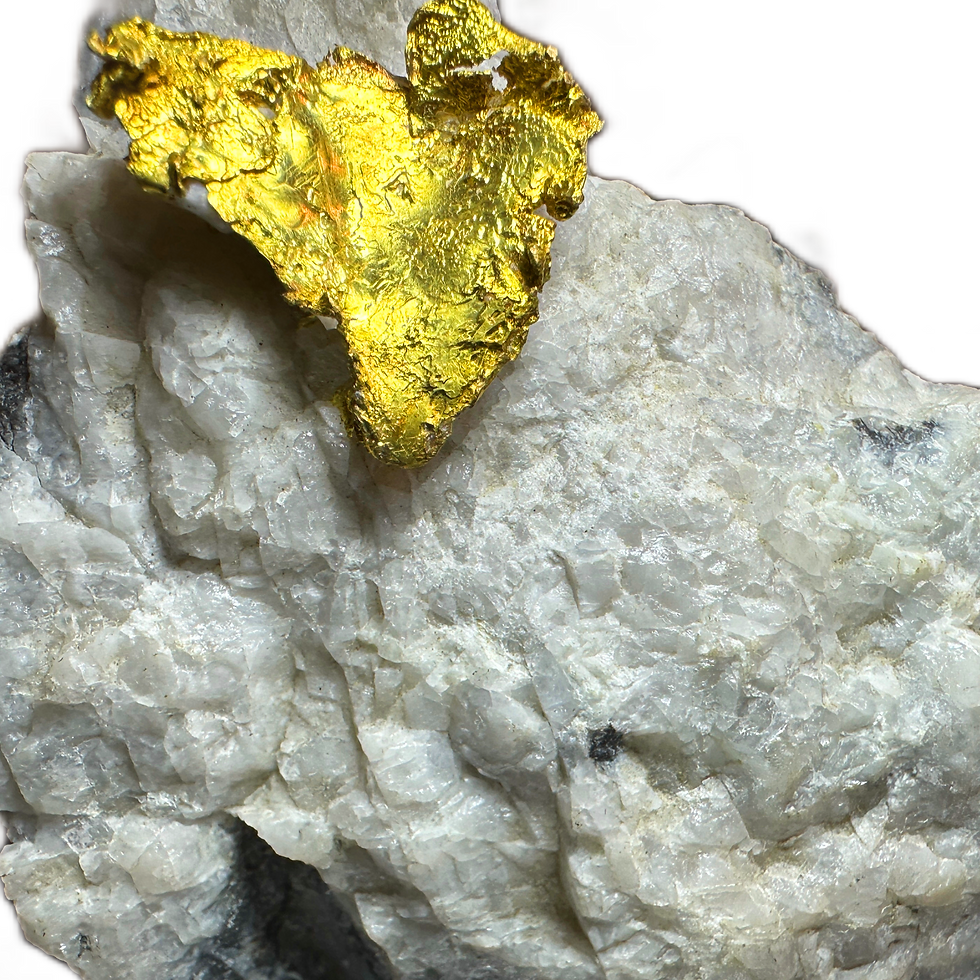 Thumbnail: Crystallized Leaf Gold (Mockingbird Mine)