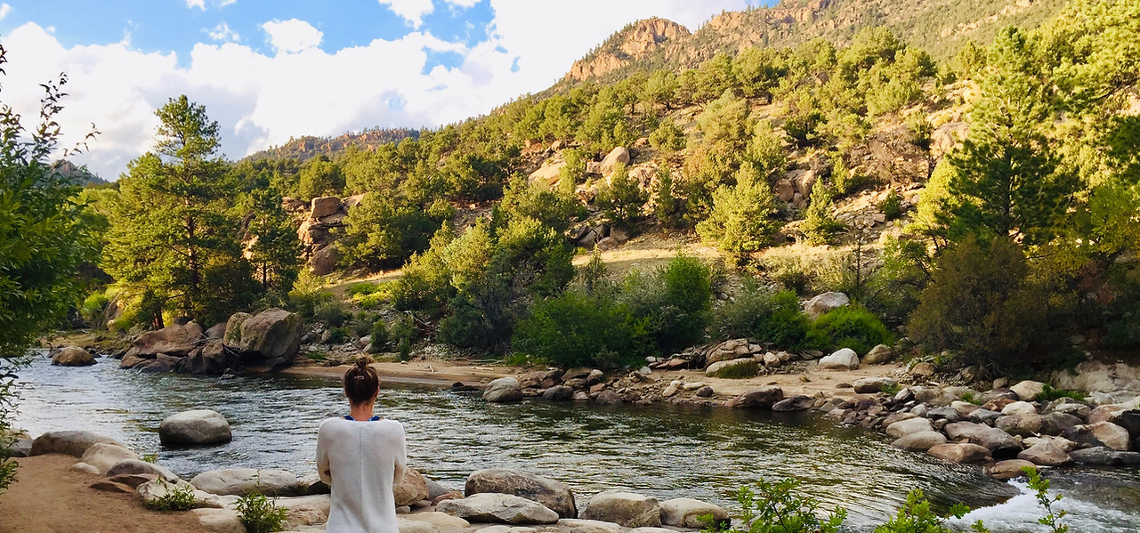 Rooted to Fly - Buena Vista CO