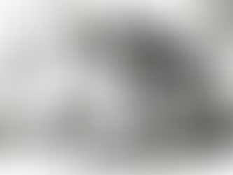 Berliner Ballett der Roller und Nudelsuppen