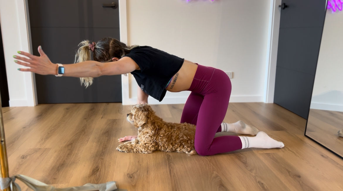 Ultimate Shoulder Warm Up For Pole Dancers