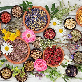 Plant Medicine Launceston Cornwall#