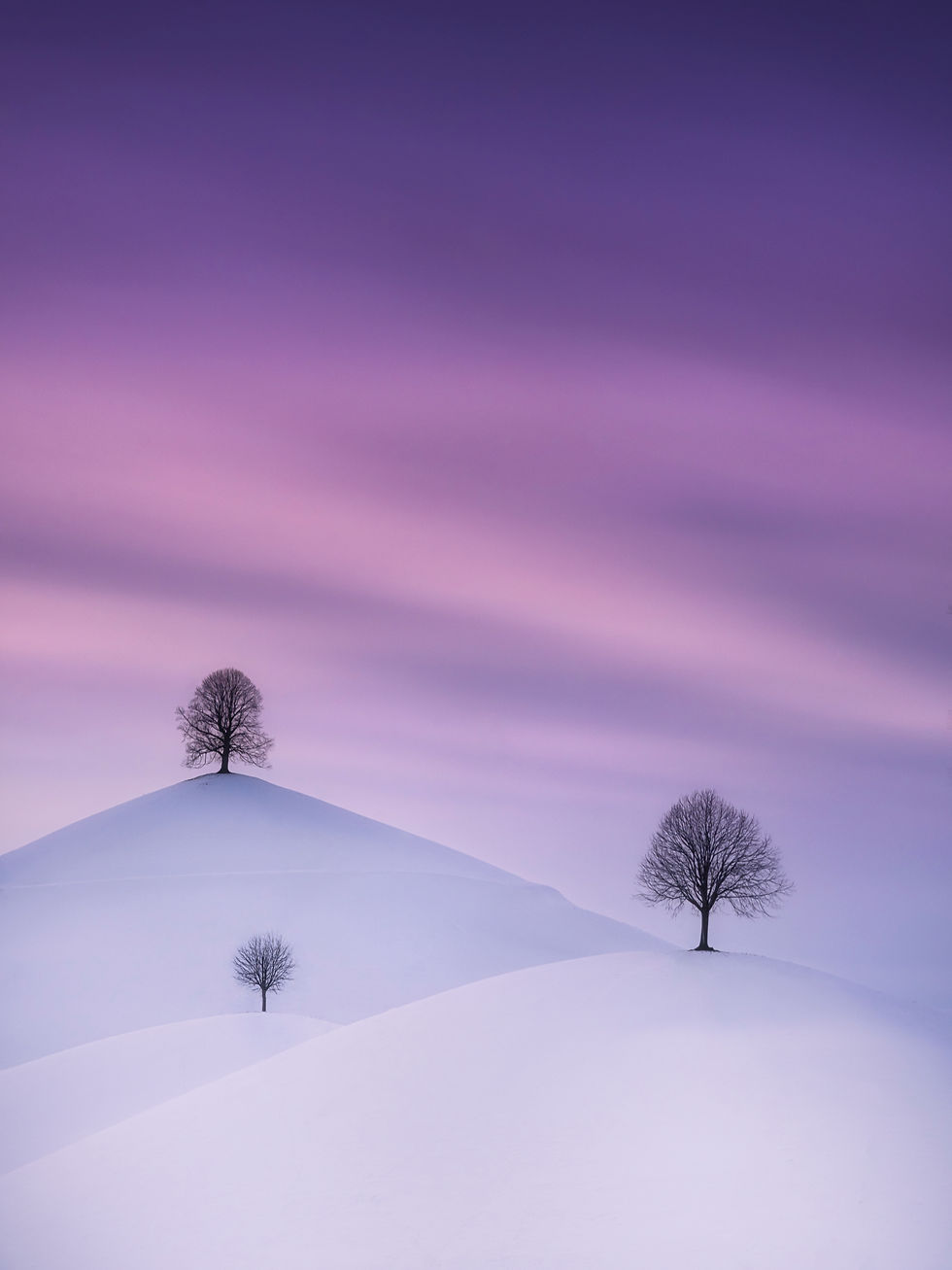 DRUMLINS WINTER DREAM