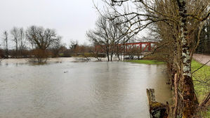 Oh ! Oh ! Que d'eau !