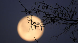 Pleine lune de printemps