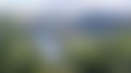 Un trail pour mon anniversaire