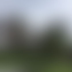 Sauvons le château de Mongaillard !