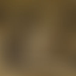 Hautes nefs au musée de Flandre : silence et contemplation