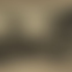 Twitter et le patrimoine : retour sur l’affaire de l’hôtel Saint-Louis d’Autun