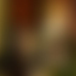 Jean Hey, le Maître de Moulins