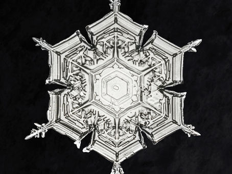 Wilson A. Bentley, pionnier de la photographie des flocons de neige 