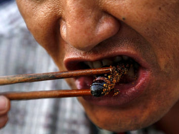You Will Eat Bugs, and You Will Enjoy it!
