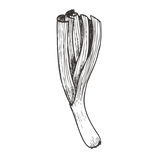 poireau