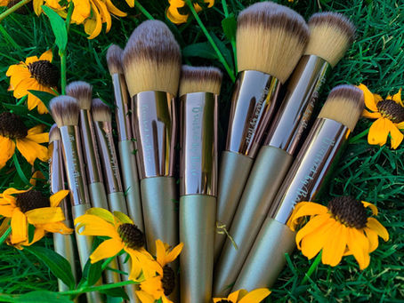KNOW YOUR BRUSHES