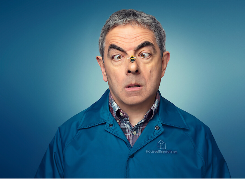 Man Vs Bee on Netflix