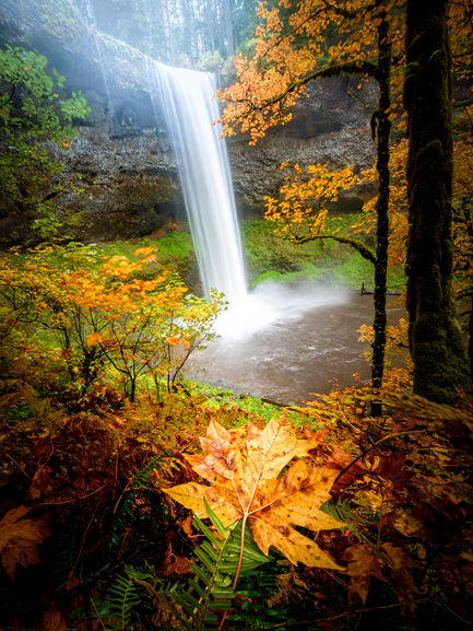 38243119435_7a00a2f987_o