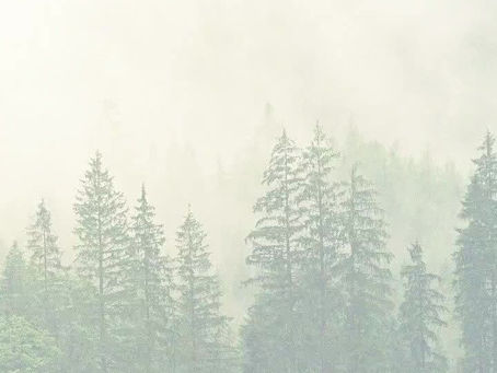 WINTER ESCAPES AT LL&C
