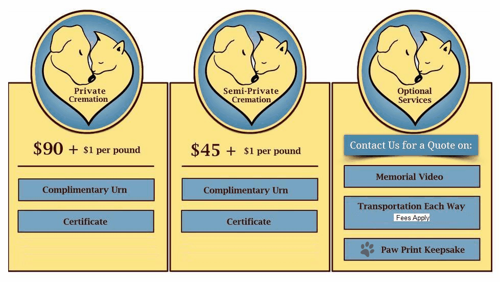 A2A Services.gif