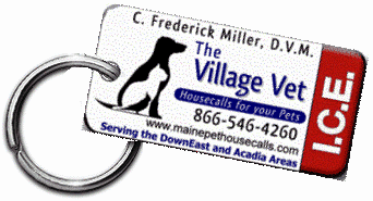 The Village Vet ICE KEYTAG