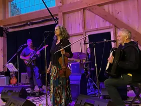 band members on stage