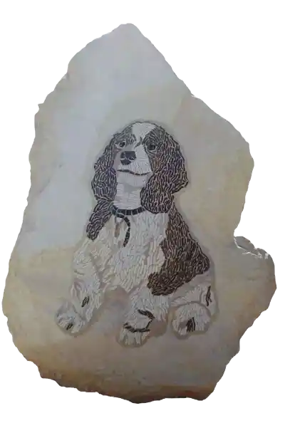 mosaic pet portrait on rock