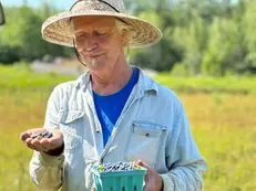 man wearing a hat with a container of freshly picked blueberries