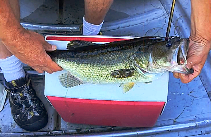 From the lake to your cooler