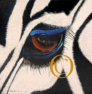 LOW R 49 ZEBRA EYE.jpg