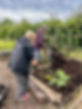2-garden-compost.jpeg