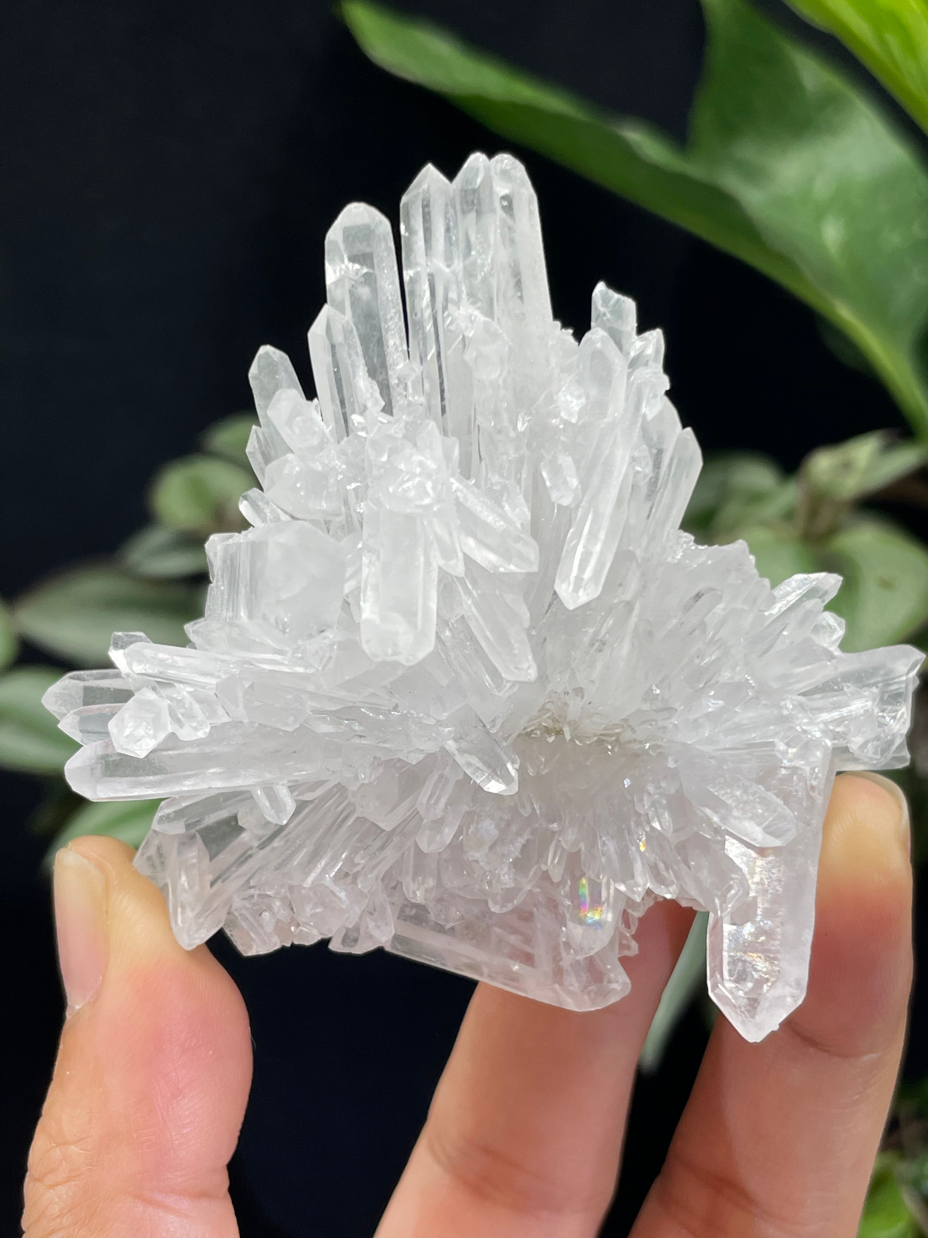 Raw & Natural High Quality Brazil Chrysanthemum Crystal Quartz Flower Cluster