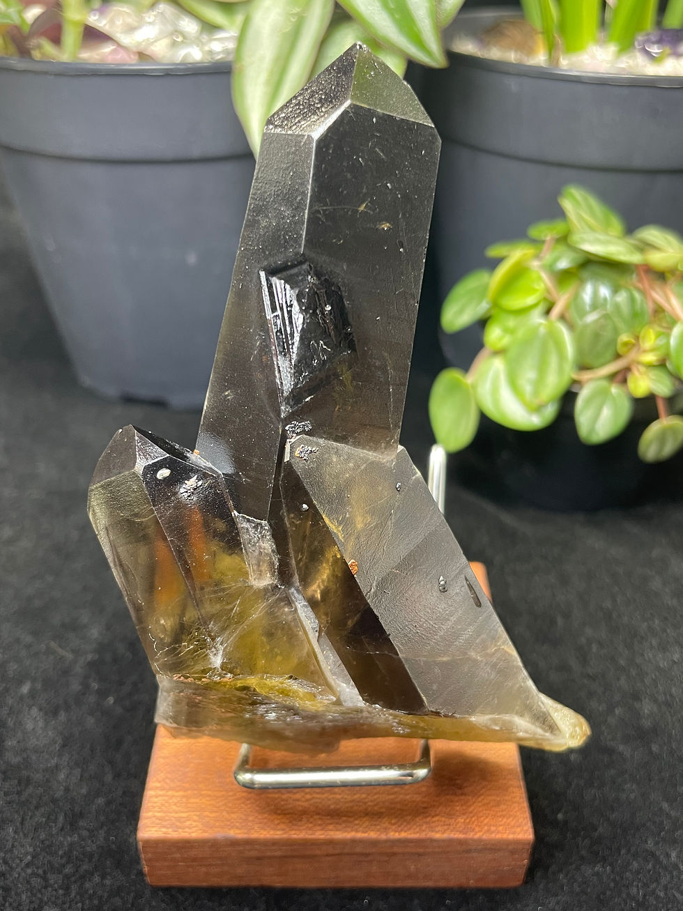 Thumbnail: Rare Natural High Quality Black Smoky Quartz & Citrine Combination Cluster Tower