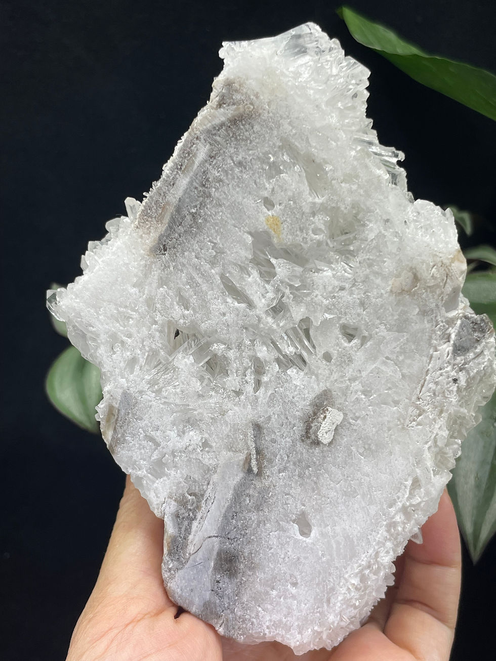Thumbnail: Raw & Natural High Quality Brazil Chrysanthemum Crystal Quartz Flower Cluster