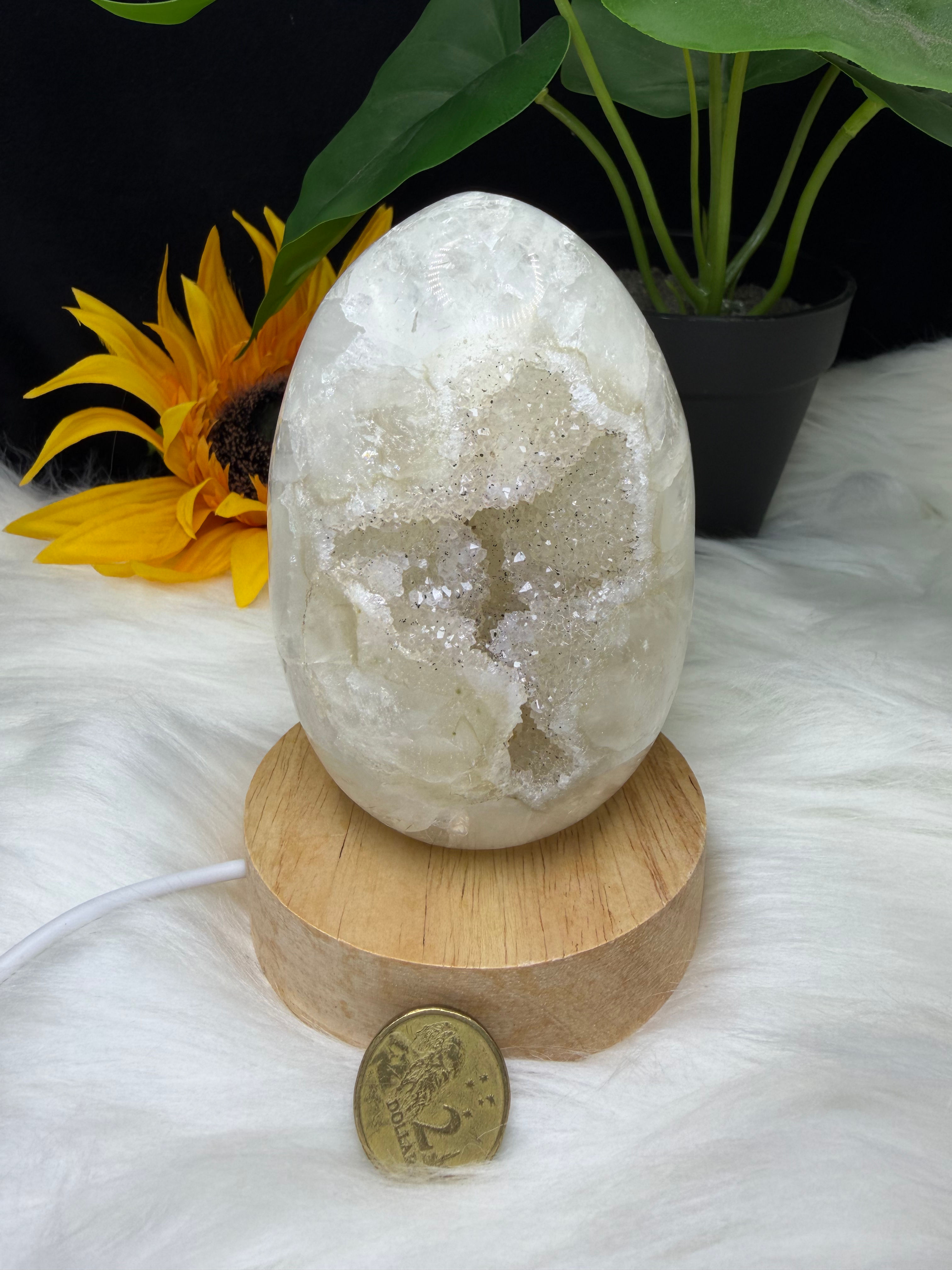 11CM Tall Polished Natural Clear Quartz Crystal Egg with Sparkly Druzy Pocket