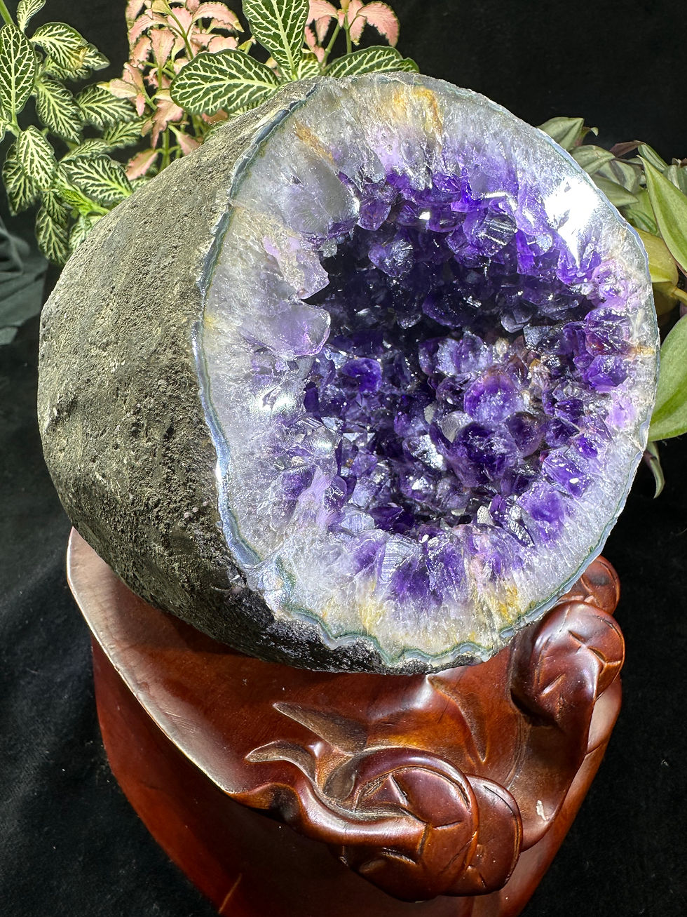 Thumbnail: 3.5kg Uruguay top quality natural shinny dark purple round cave with wooden base