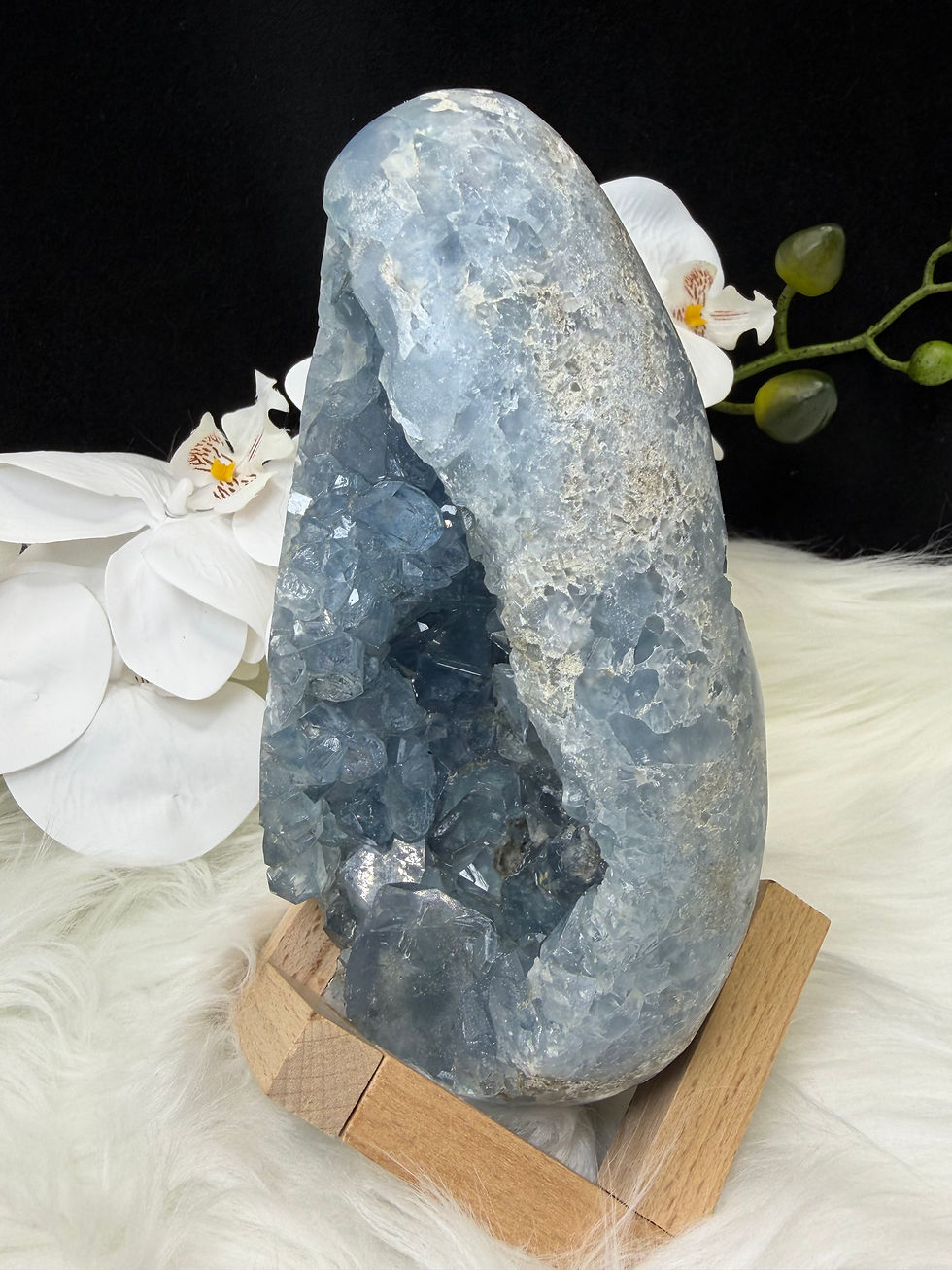 Thumbnail: 1.9KG 18CM Natural Sky Blue Shinny High Quality Large Celestite Crystal Egg