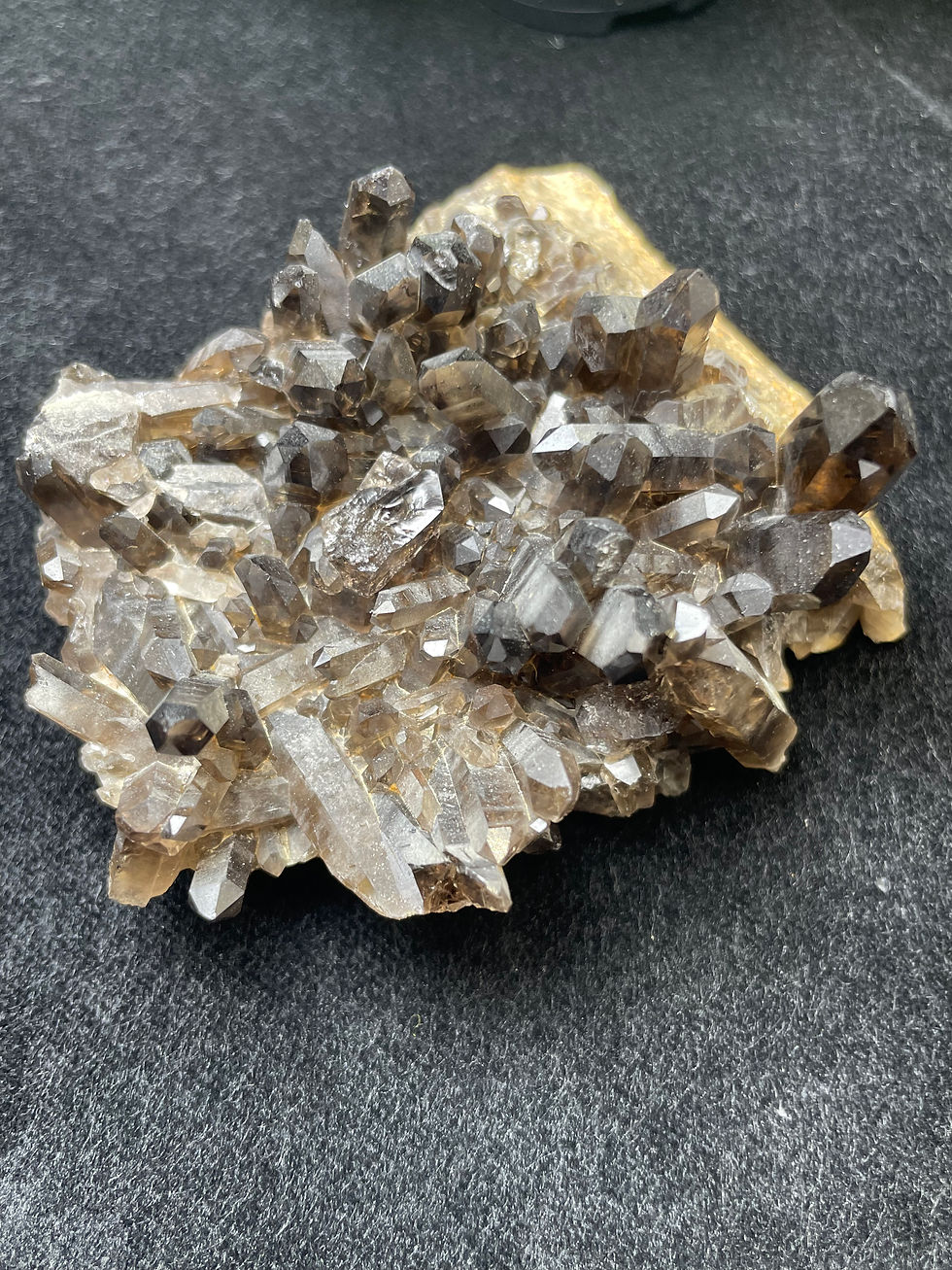 Thumbnail: Rare Natural High Quality Black Smoky Quartz & Citrine Symbiosis Forest Cluster 