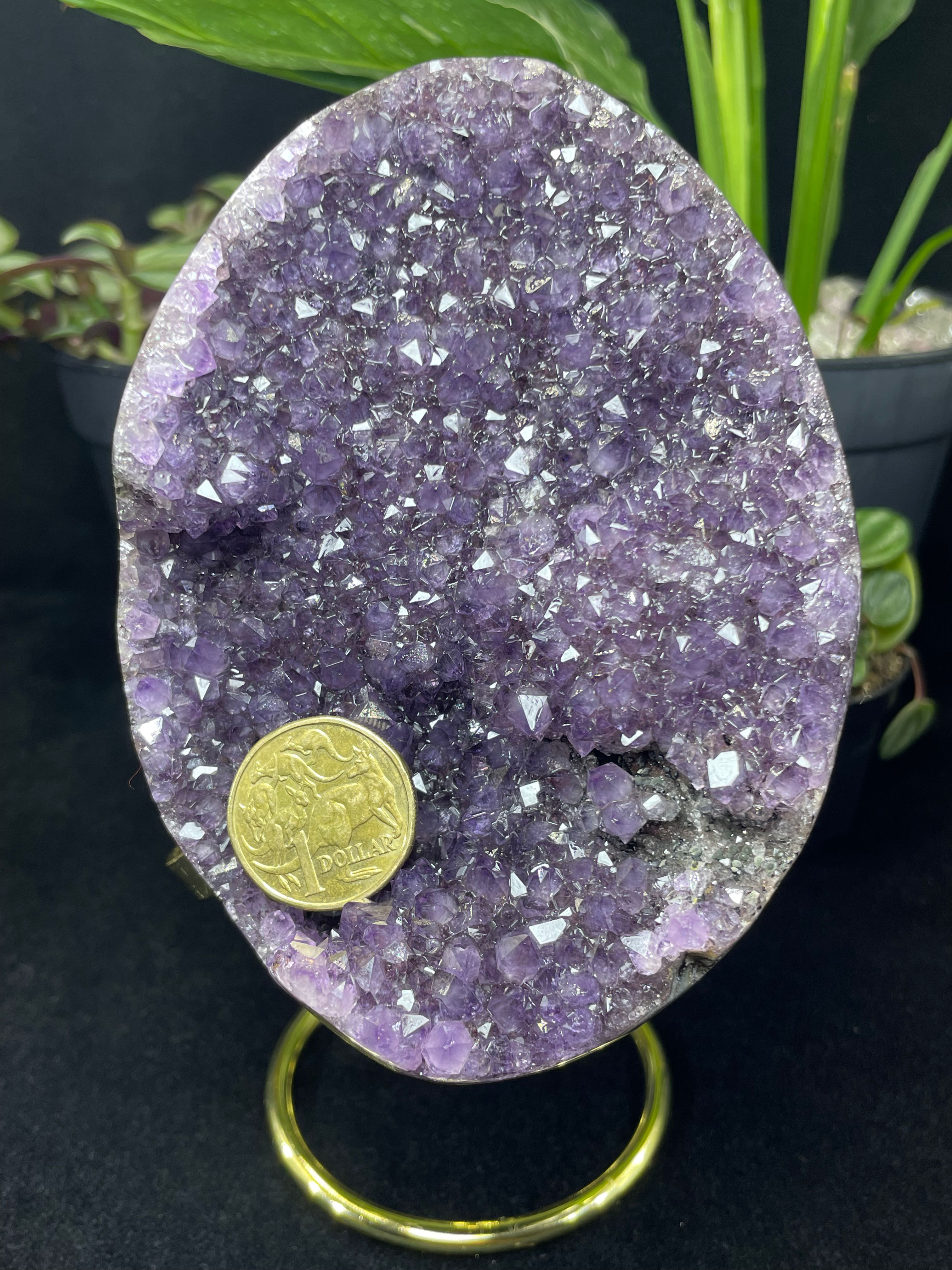 Uruguay Natural Sparkling Deep Purple Amethyst Crystal in Egg Shape Decor Gift