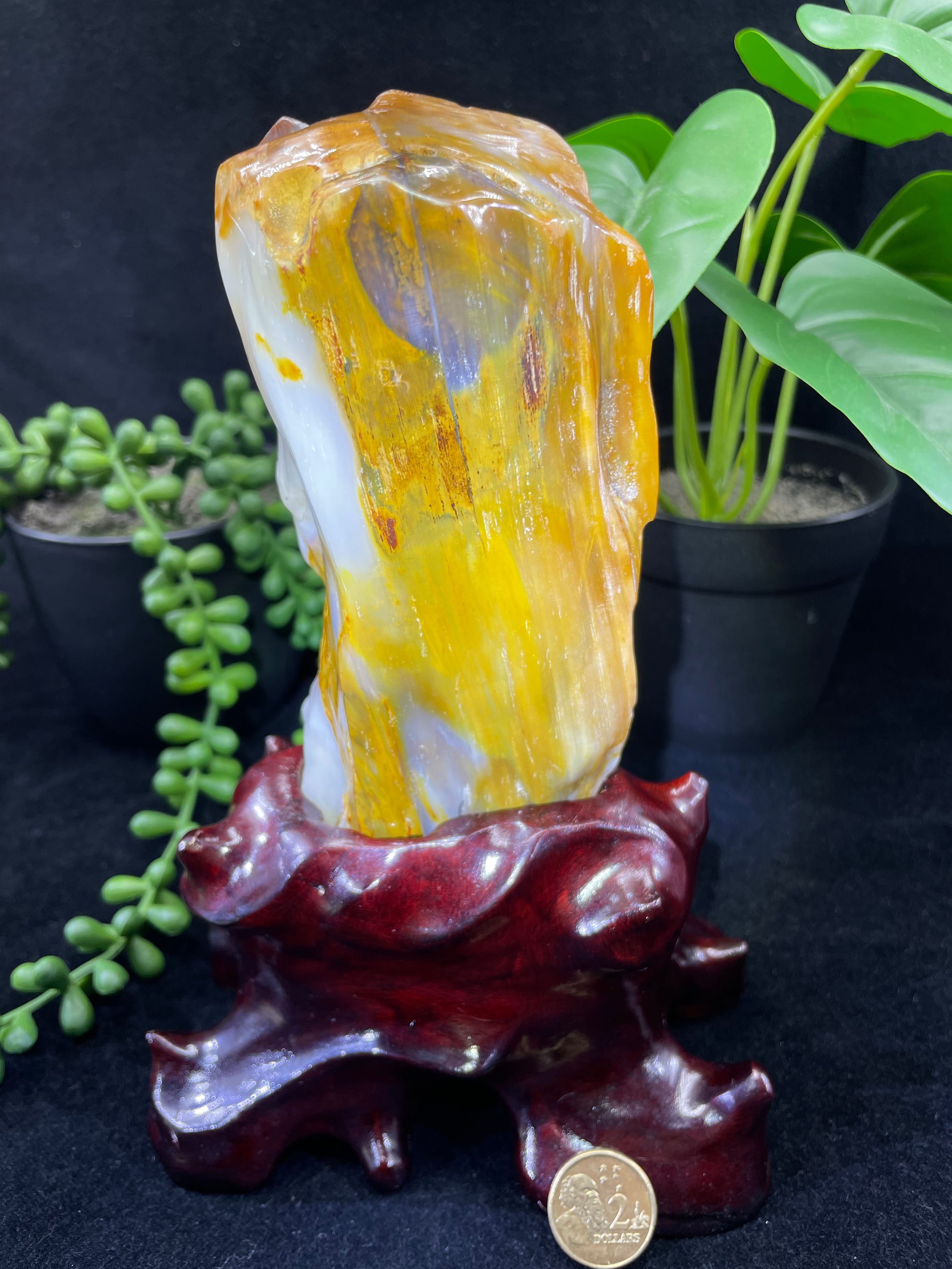20CM 360° View Millions Years Golden & White Jade Tree Wood Fossil with Stand
