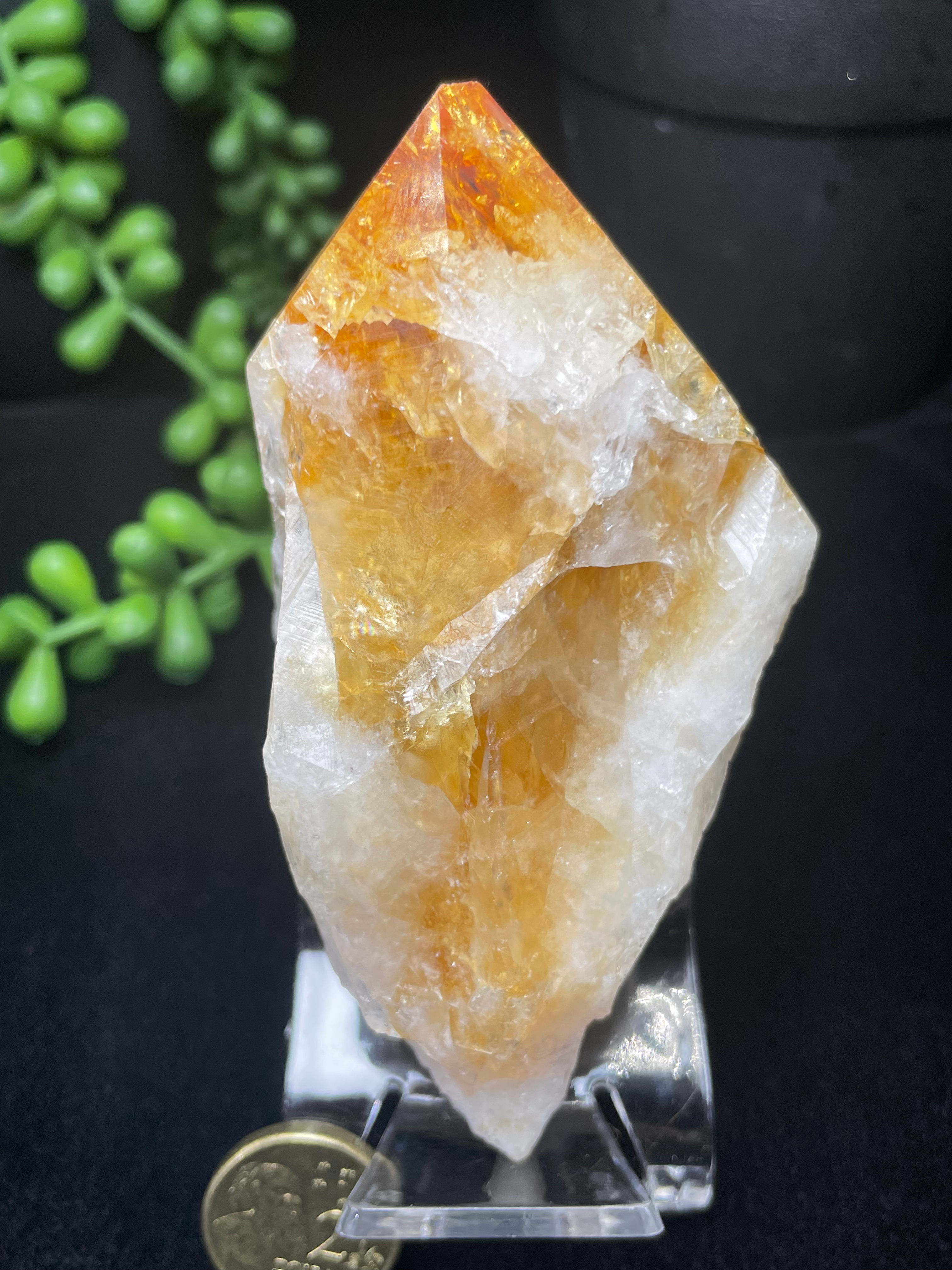 Natural Raw Brazil High Quality Golden Translucent Citrine Point Pocket Crystal