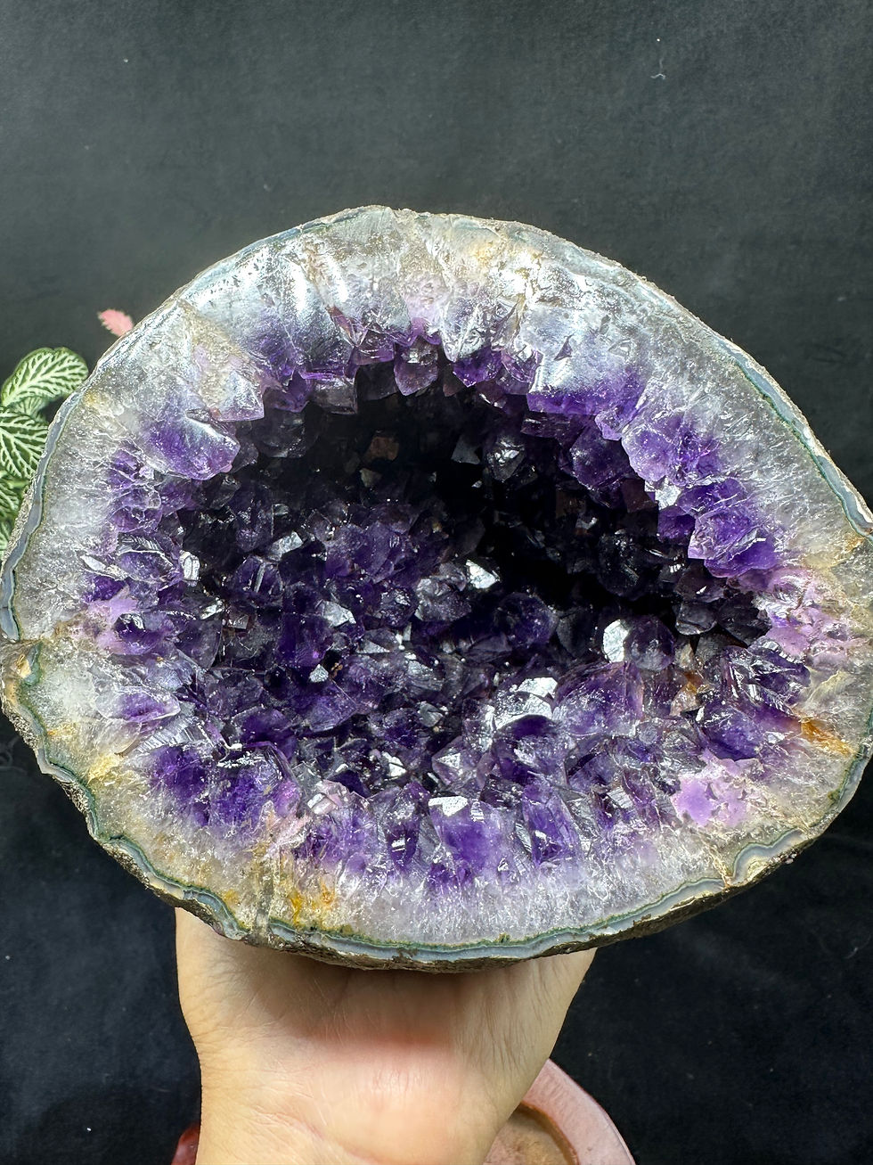 Thumbnail: 3.5kg Uruguay top quality natural shinny dark purple round cave with wooden base