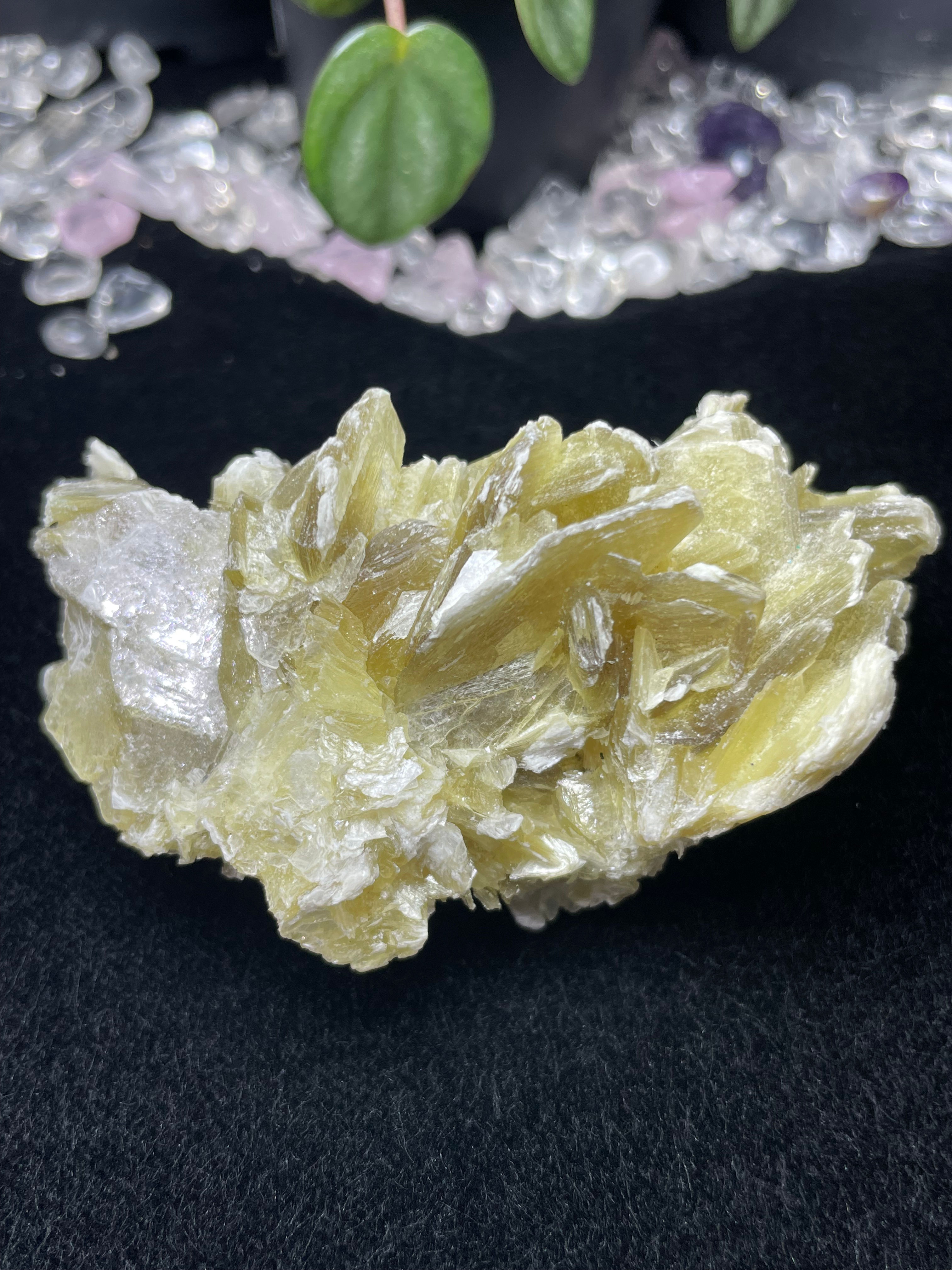 Natural High Quality Sparkling Golden Raw Mica Lepidolite Calm Healing Balancing