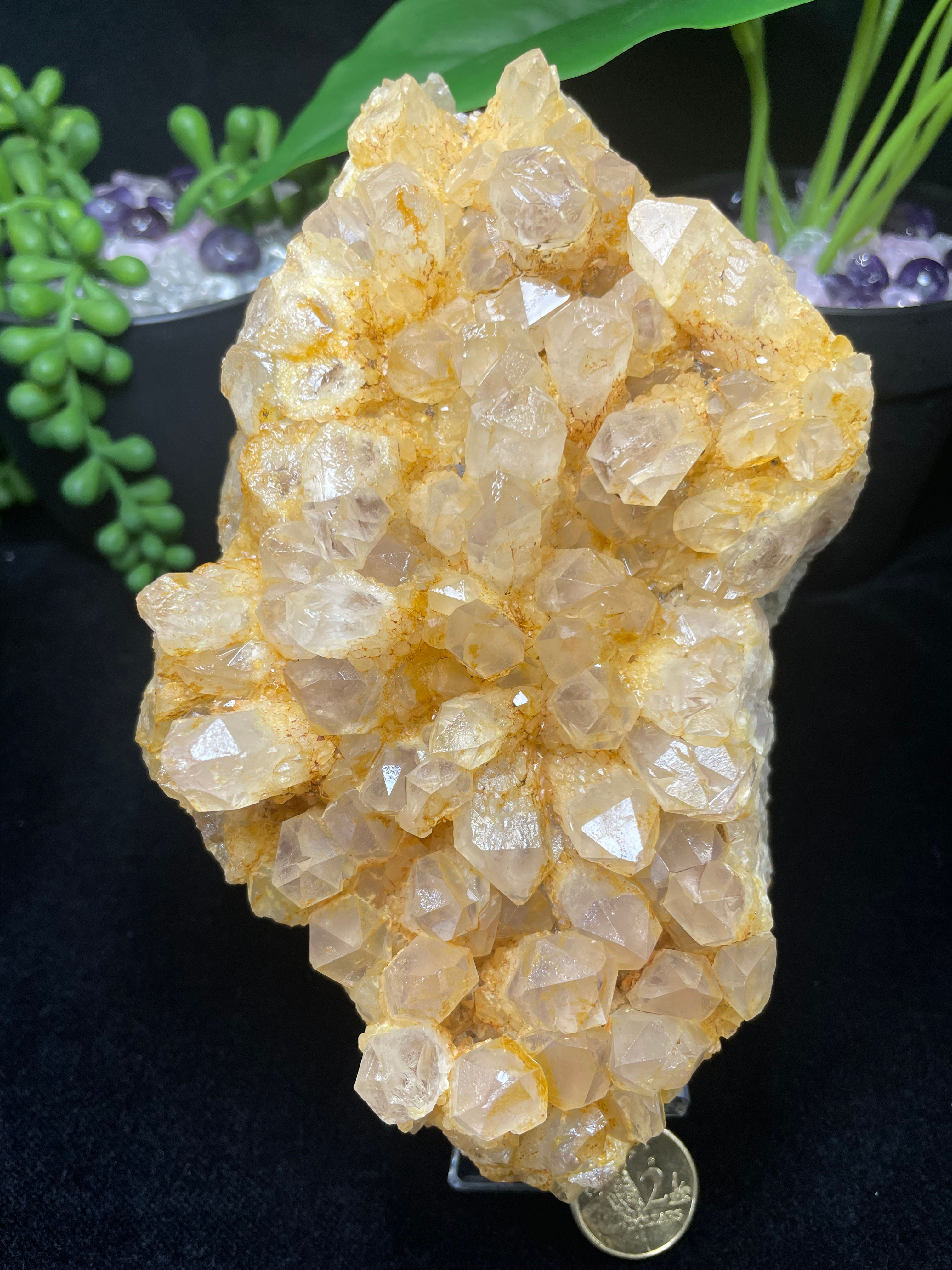 1KG 16CM Tall Raw & Natural Africa Zambia Amethyst & Golden Citrine Combination