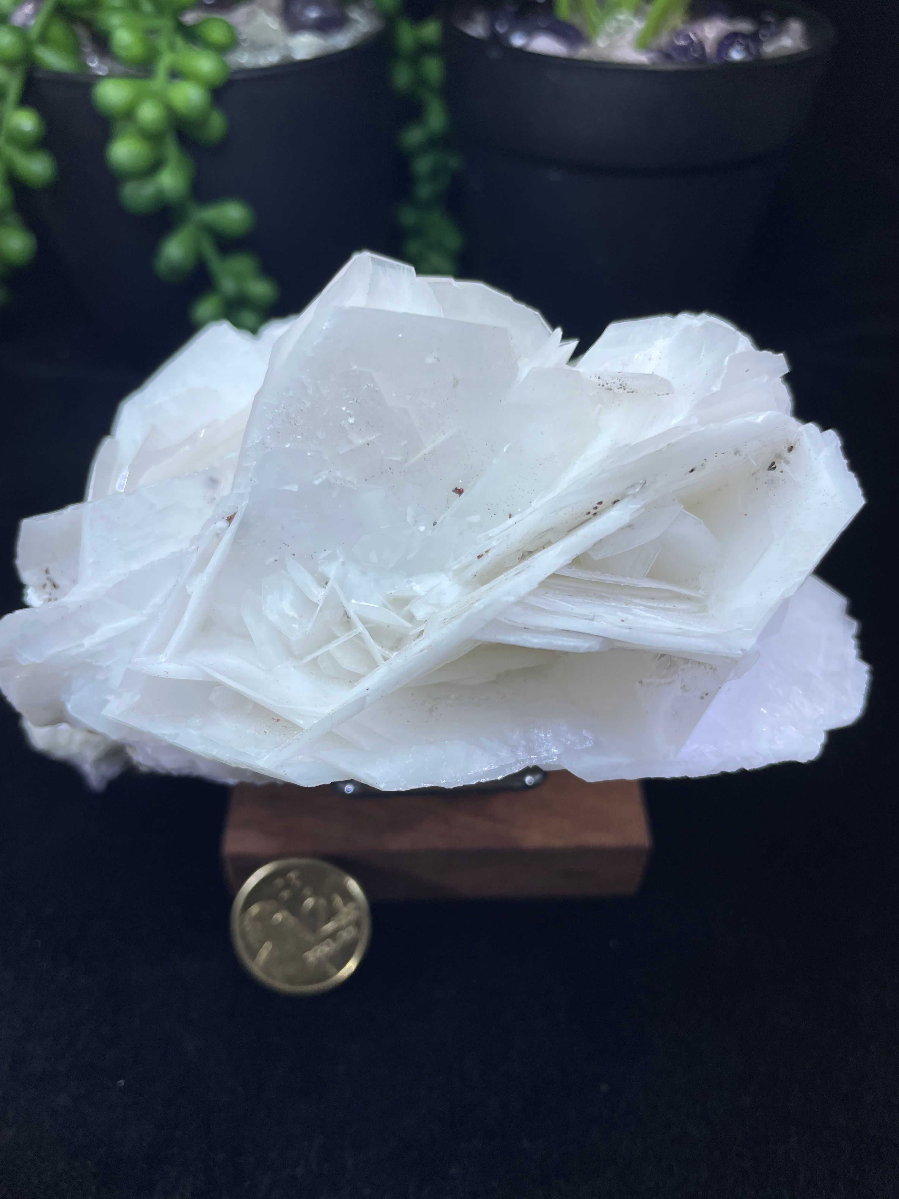 Natural Top Quality Snow White Roses Calcite Flower Crystal Gemstones Minerals