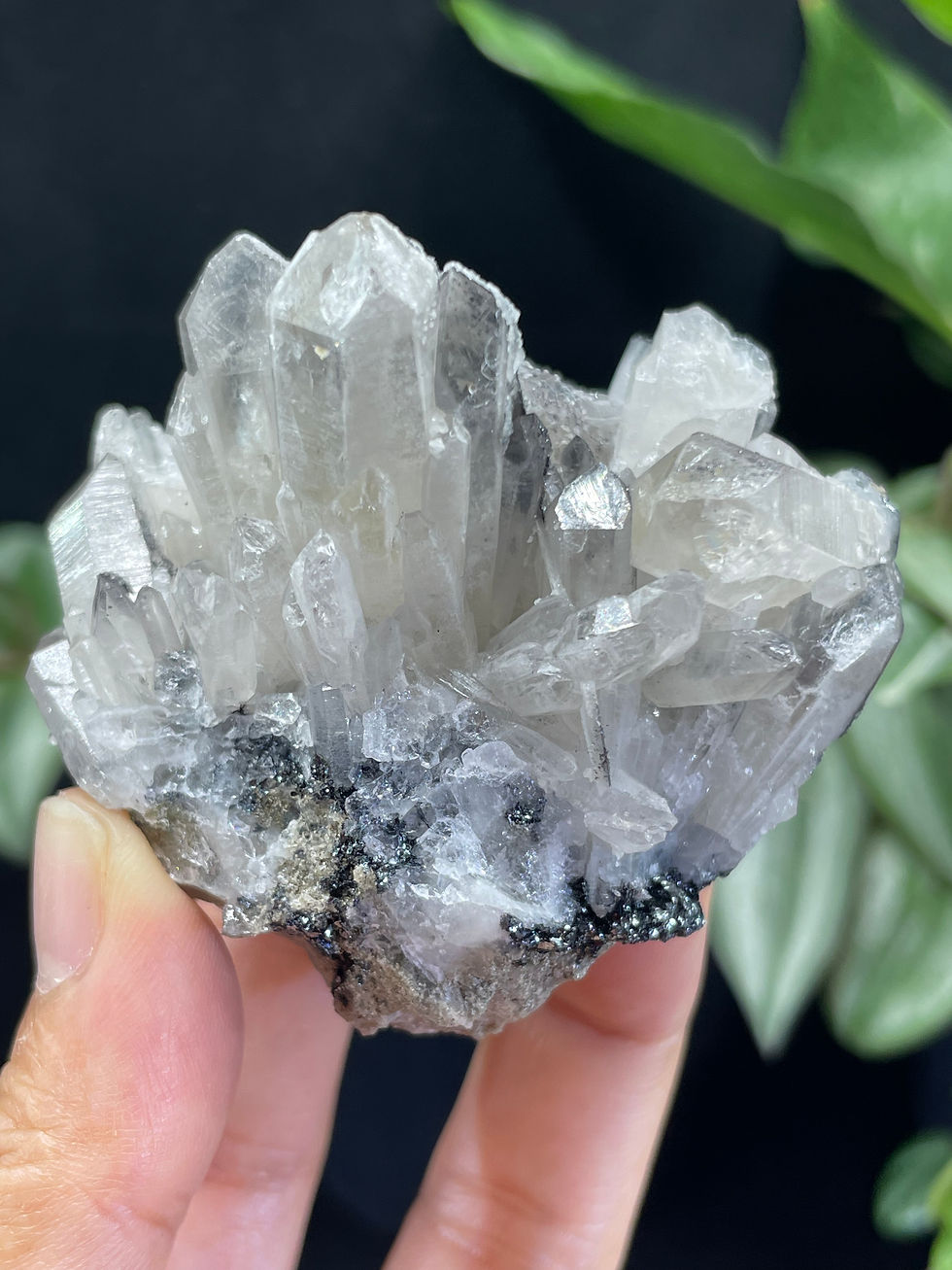 Thumbnail: Natural High Quality Brazil Chrysanthemum Crystal with Sparkling Black Minerals