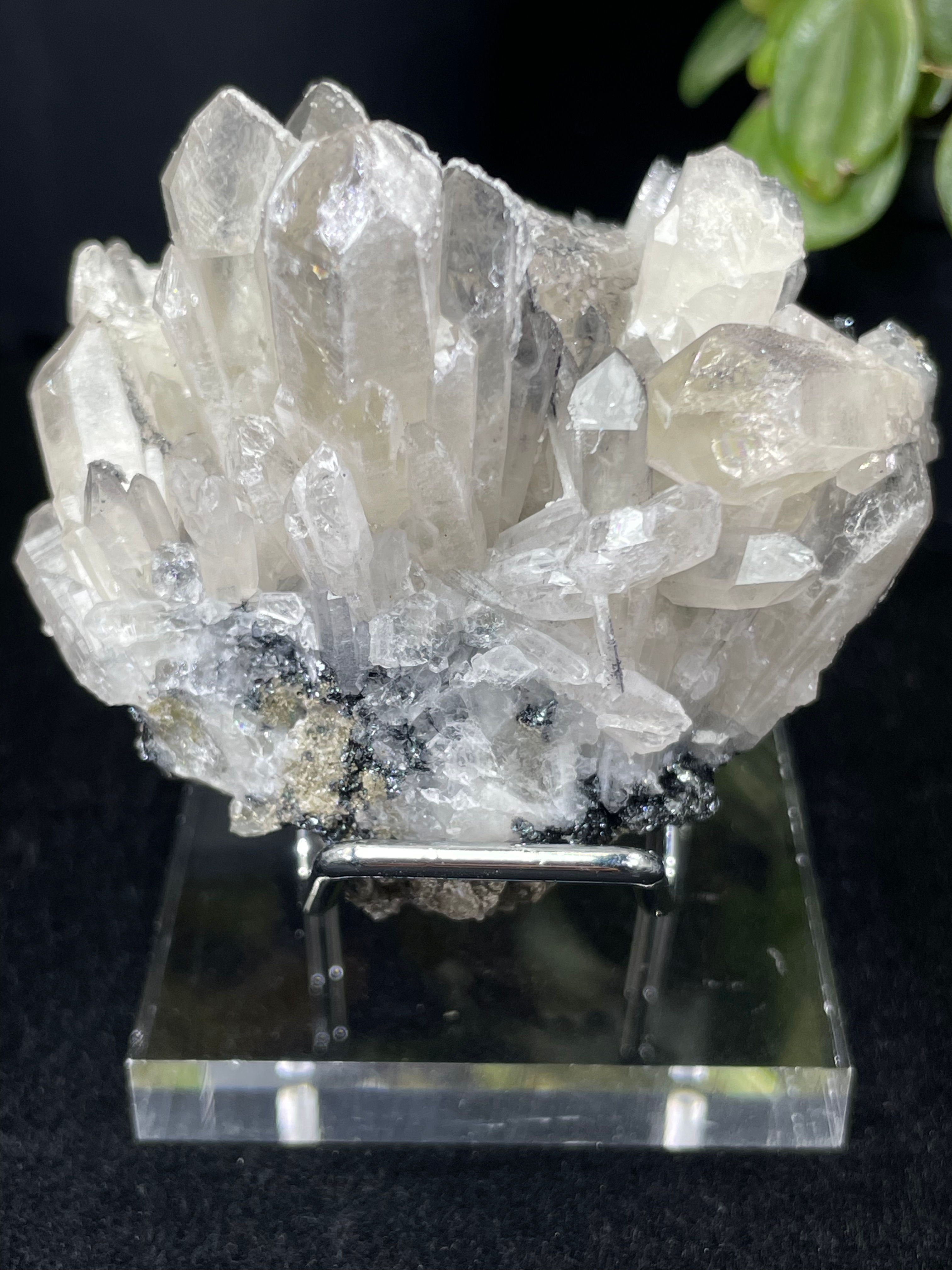 Natural High Quality Brazil Chrysanthemum Crystal with Sparkling Black Minerals