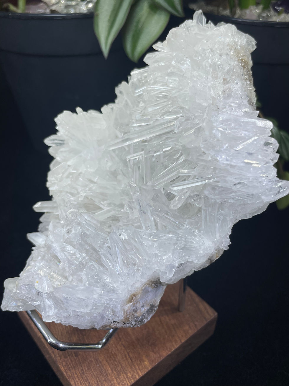 Thumbnail: Raw & Natural High Quality Brazil Chrysanthemum Crystal Quartz Flower Cluster