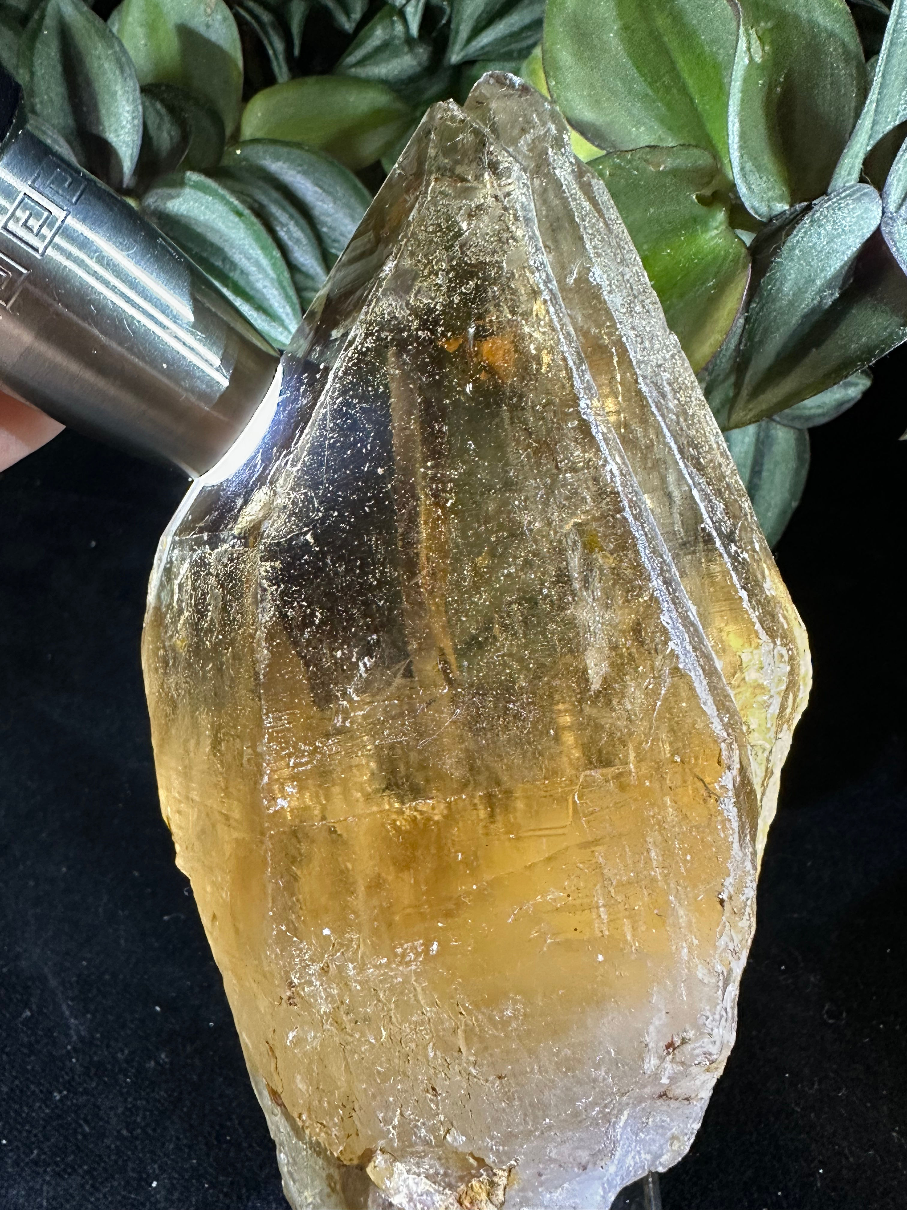 20cm Height Raw & Natural High Quality Transparent Smoky Quartz Crystal Tower