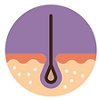 Hair icon.png