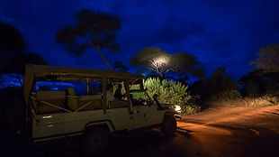 tanzania-night-game-img-gal3.jpg