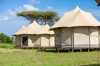 Serengeti-WildeBeest-Camp-17-1-scaled.webp